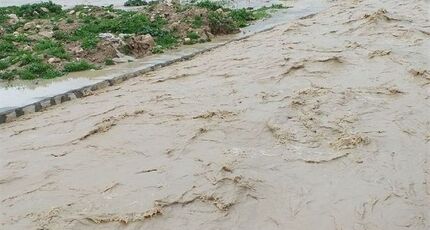 خسارت میلیاردی سیل به محصول آفتابگردان مرند