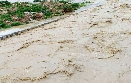 خسارت میلیاردی سیل به محصول آفتابگردان مرند
