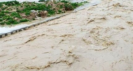 خسارت میلیاردی سیل به محصول آفتابگردان مرند