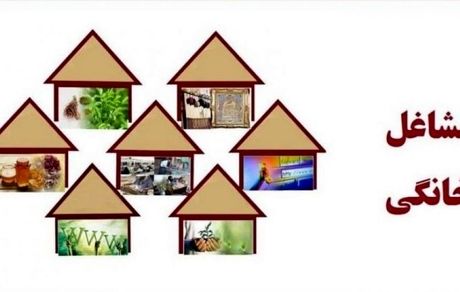 پرداخت تسهیلات به ۵۱۶ طرح مشاغل خانگی استان یزد از مردادماه تاکنون