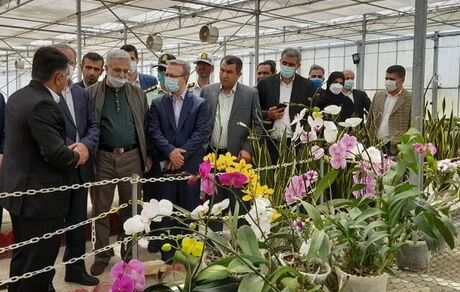 حدود ۴۰ درصد ظرفیت‌های تولیدی کشور تعطیل هستند
