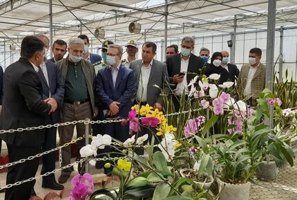 حدود ۴۰ درصد ظرفیت‌های تولیدی کشور تعطیل هستند