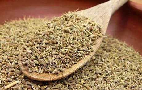 صادرات ۱۳ میلیون دلاری گیاهان دارویی اصفهان به بازار های جهانی