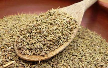 صادرات ۱۳ میلیون دلاری گیاهان دارویی اصفهان به بازار های جهانی