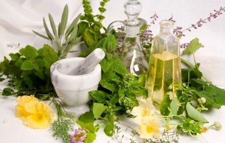 ۱۰ برابر شدن داروهای گیاهی مجوزدار