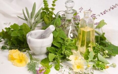 ۱۰ برابر شدن داروهای گیاهی مجوزدار