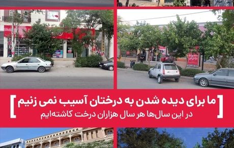 توضیحات مسوولان در خصوص قطع درختان خیابان معلم یاسوج + عکس