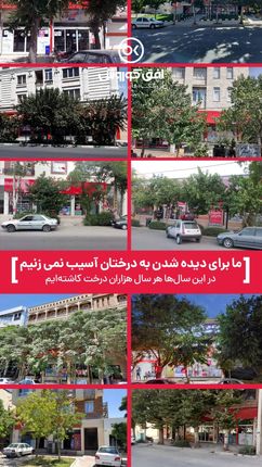 توضیحات مسوولان در خصوص قطع درختان خیابان معلم یاسوج + عکس