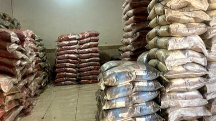 واردات ۶۰ هزار تن برنج تقلبی تایید شد
