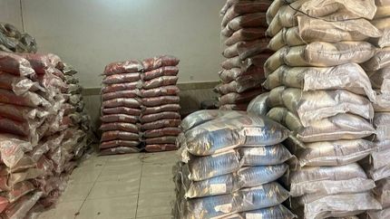 واردات ۶۰ هزار تن برنج تقلبی تایید شد