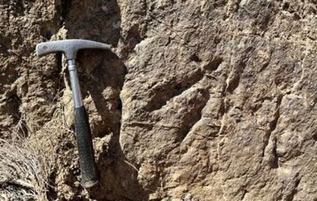 ردپای دایناسورها در یکی از شهرهای ایران پیدا شد