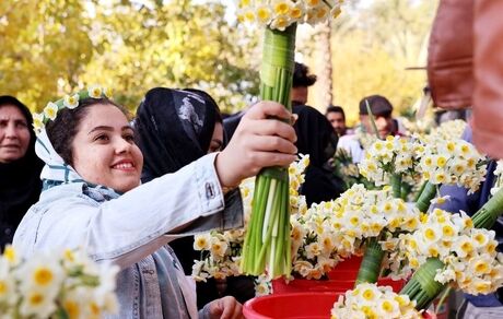 جشنواره گل نرگس کردکلای شهرستان جویبار ثبت ملی شد