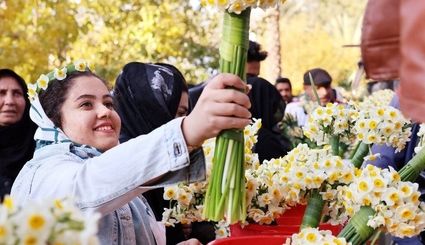 جشنواره گل نرگس کردکلای شهرستان جویبار ثبت ملی شد
