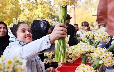 جشنواره گل نرگس کردکلای شهرستان جویبار ثبت ملی شد