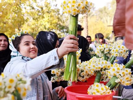 جشنواره گل نرگس کردکلای شهرستان جویبار ثبت ملی شد