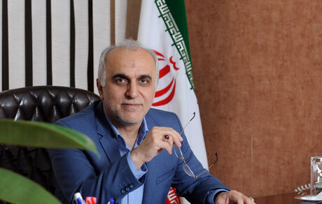 دژپسند: برنامه‌ای برای اعمال مالیات بر عایدی سرمایه نداریم