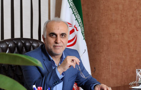 دژپسند: برنامه‌ای برای اعمال مالیات بر عایدی سرمایه نداریم