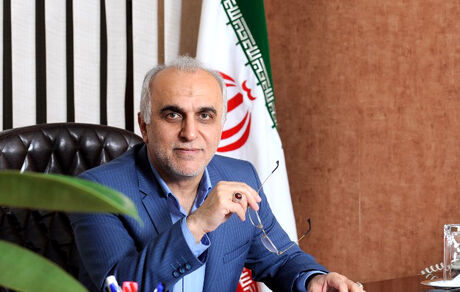 دژپسند: برنامه‌ای برای اعمال مالیات بر عایدی سرمایه نداریم