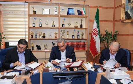 عصارزاده: رویکرد بانک توسعه تعاون عبور از تسهیلات‌محوری به سمت تأمین مالی مبتنی بر زنجیره ارزش است
