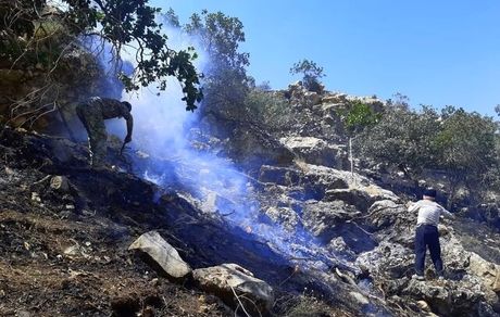 پایان آتش‌سوزی جنگل‌های گچساران پس از ۸۰ ساعت