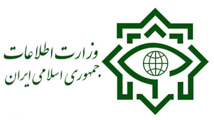 وزارت اطلاعات: باند بین‌المللی قاچاق مواد مخدر متلاشی شد