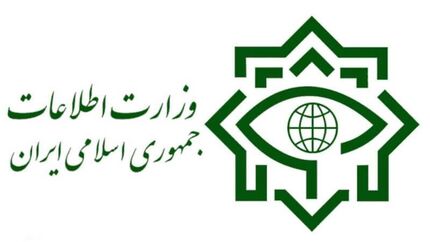 وزارت اطلاعات: باند بین‌المللی قاچاق مواد مخدر متلاشی شد