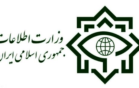 وزارت اطلاعات: باند بین‌المللی قاچاق مواد مخدر متلاشی شد