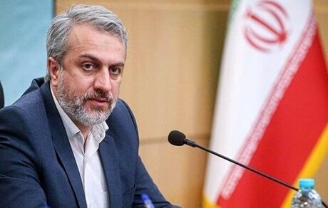 فاطمی‌امین: همکاری وزارت صمت و دفاع باعث جهش و موفقیت صنعت خودرو شده است