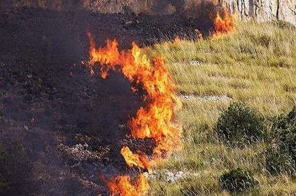 سوختن ۵۰۰ هکتار از نیزارهای بخش ایرانی هورالعظیم در آتش‌سوزی اخیر