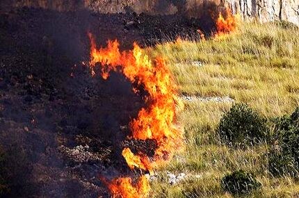 سوختن ۵۰۰ هکتار از نیزارهای بخش ایرانی هورالعظیم در آتش‌سوزی اخیر