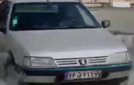رانندگی حرفه‌ای دختر ۷ ساله / ویدئو