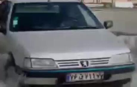 رانندگی حرفه‌ای دختر ۷ ساله / ویدئو