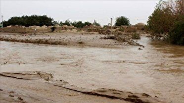 بدلیل سیل، یک روستای شهر گرمسار تخلیه شد