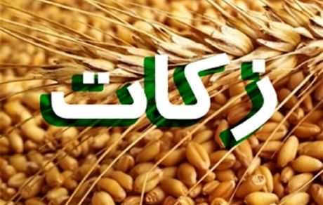 افزایش ۴۶ درصدی جمع‌آوری زکات در مهاباد
