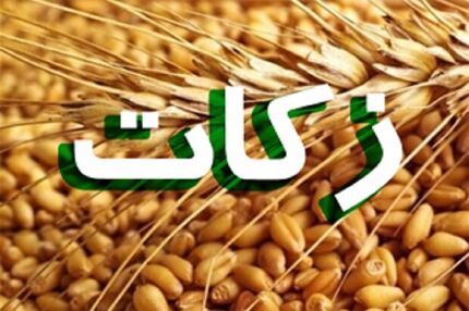افزایش ۴۶ درصدی جمع‌آوری زکات در مهاباد