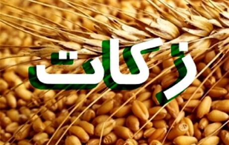 افزایش ۴۶ درصدی جمع‌آوری زکات در مهاباد