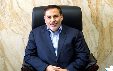 سخنگوی قوه قضاییه: ۱۱۵ تن از محکومین امنیتی مشمول عفو معیاری شده‌اند / کیفرخواست پرونده توقیف کشتی اسرائیلی صادر شده است