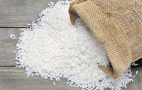 تلاش برای تولید ۶ تن برنج در هر هکتار