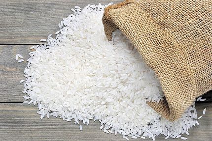 تلاش برای تولید ۶ تن برنج در هر هکتار
