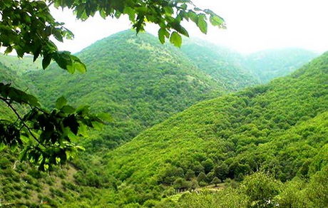 استان لرستان میزبان هفتمین همایش ملی جنگل ایران