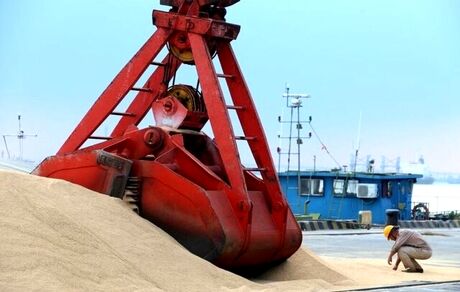 چین بزرگترین خرید یک روزه سویای آمریکا را انجام داد