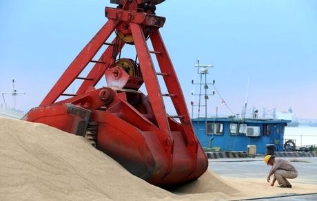 چین بزرگترین خرید یک روزه سویای آمریکا را انجام داد