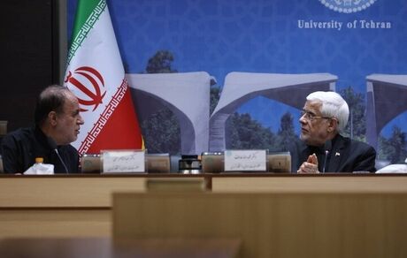 عارف: نظر دولت برای افزایش حقوق هیات علمی مثبت است
