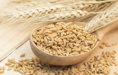 طرز تهیه ماءالشعیر طبی برای درمان سردرد