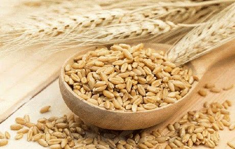 طرز تهیه ماءالشعیر طبی برای درمان سردرد