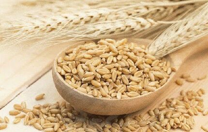 طرز تهیه ماءالشعیر طبی برای درمان سردرد