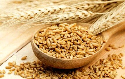 طرز تهیه ماءالشعیر طبی برای درمان سردرد