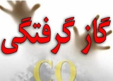 مسمومیت ۶ تن در شیراز بدلیل گازگرفتگی