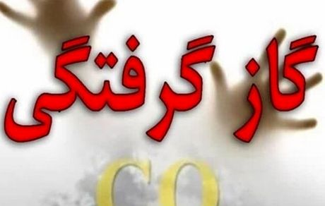 مسمومیت ۶ تن در شیراز بدلیل گازگرفتگی