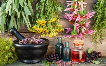 گیاه «برنجاسپ»  به درمان کرونا کمک می‌کند؟